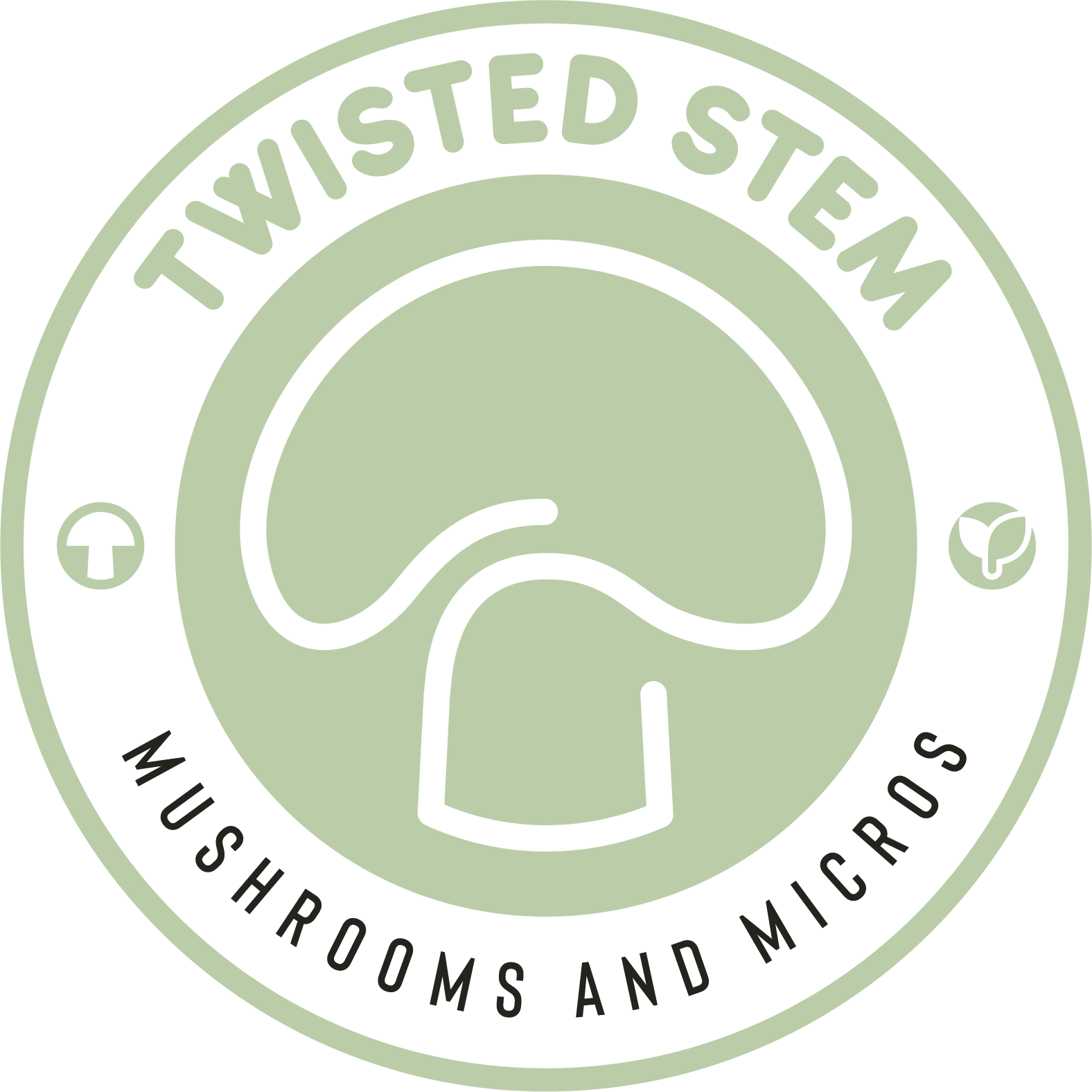 Twisted Stem