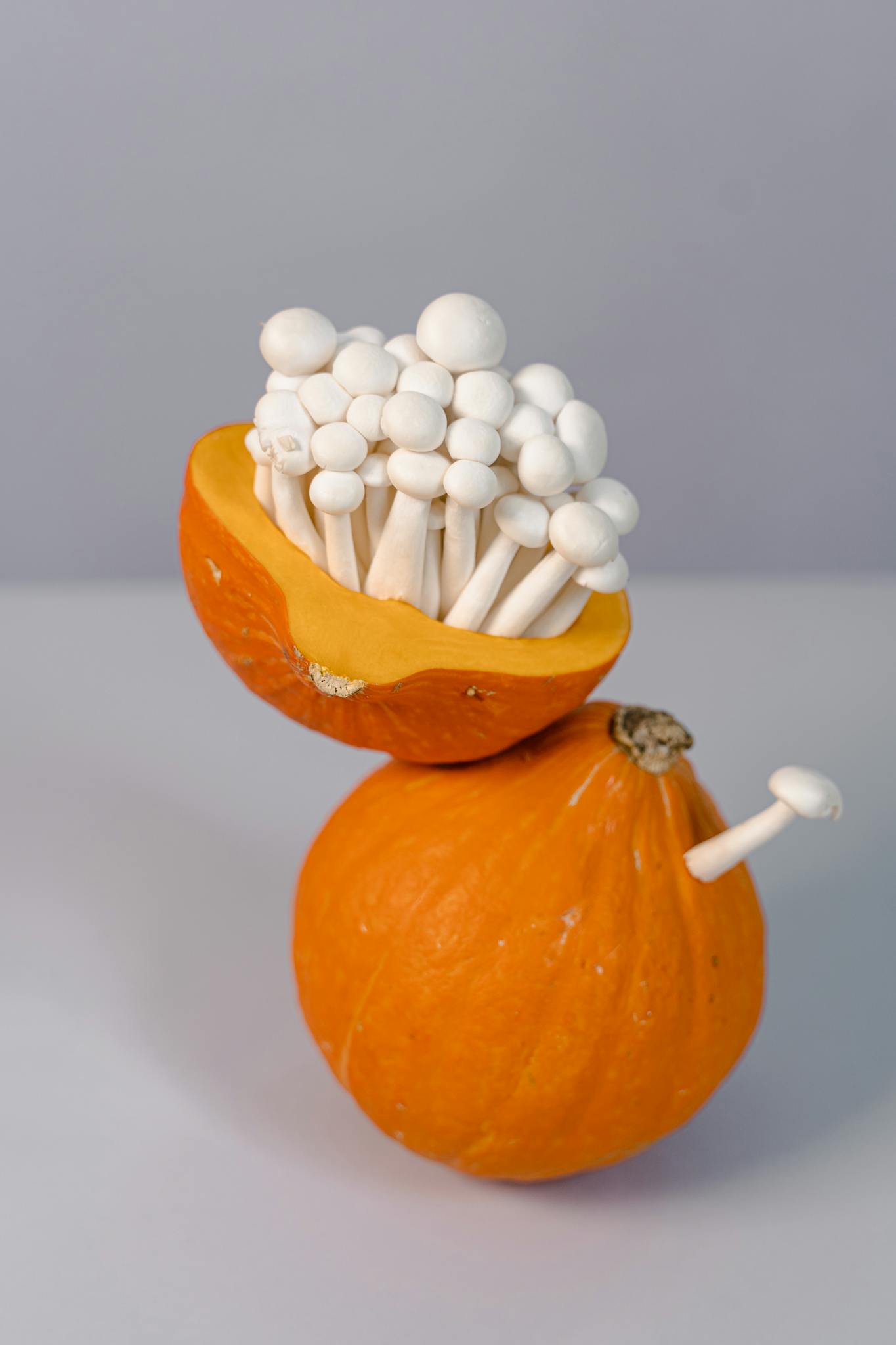 Artistic arrangement of white mushrooms emerging from a sliced pumpkin on a minimalistic background.