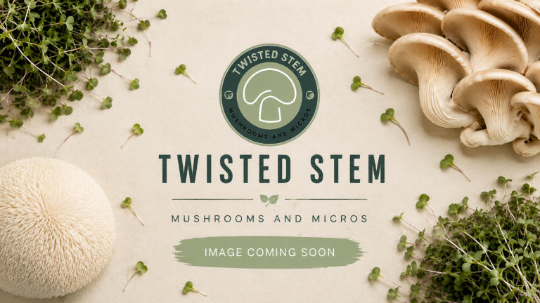 Mushroom Medley & Pea Shoot Toast