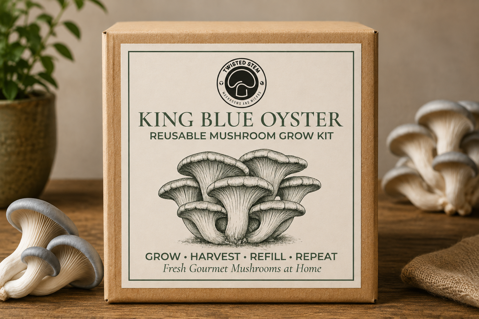 King Blue Oyster Reusable Grow Kit