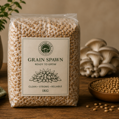 Lion’s Mane Grain Spawn – 1kg